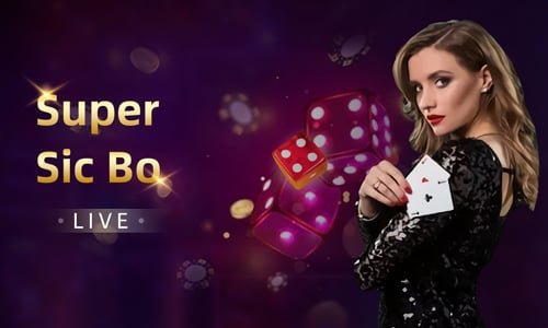 Bet placement interface Dream Catcher betting interface with multiplier selection and stake input